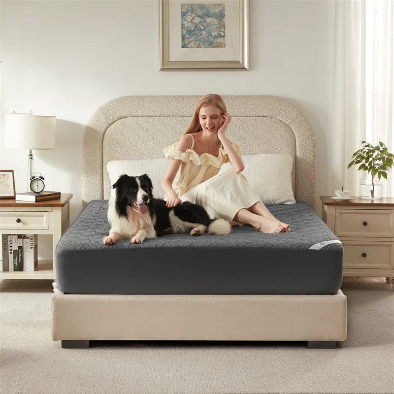 Mattress Protector